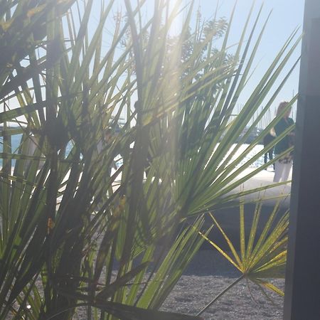 Vivito Apartment سبليت المظهر الخارجي الصورة